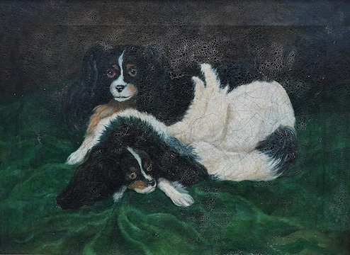 Victorian School, oil on canvas, Study of two Cavalier King Charles Spaniels, unsigned, 28 x 38cm, gilt framed. Condition - poor to fair, craquelure throughout